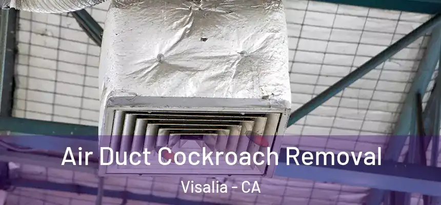 Air Duct Cockroach Removal Visalia - CA