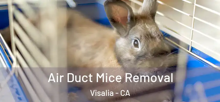 Air Duct Mice Removal Visalia - CA