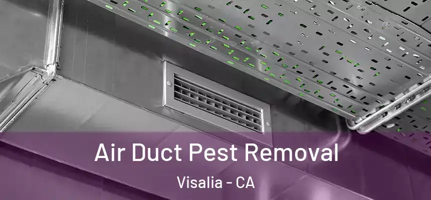 Air Duct Pest Removal Visalia - CA