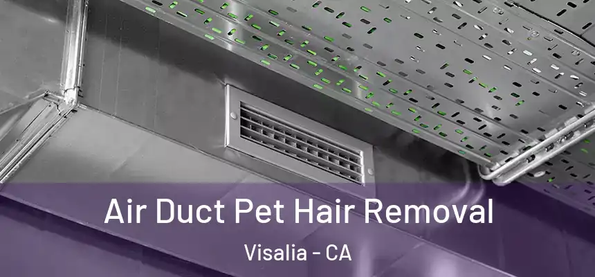 Air Duct Pet Hair Removal Visalia - CA