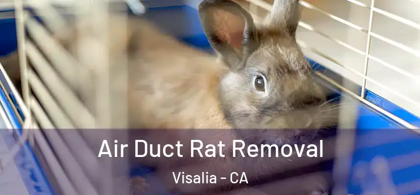 Air Duct Rat Removal Visalia - CA