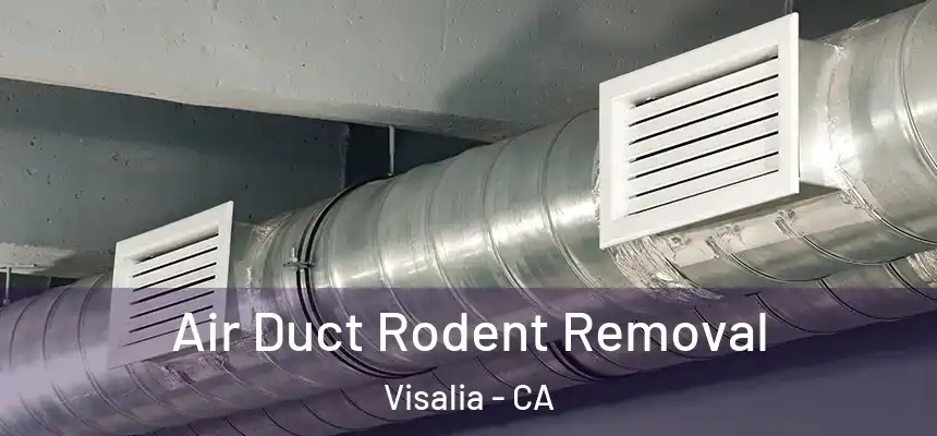 Air Duct Rodent Removal Visalia - CA