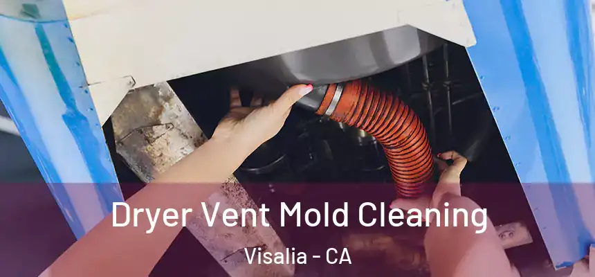 Dryer Vent Mold Cleaning Visalia - CA