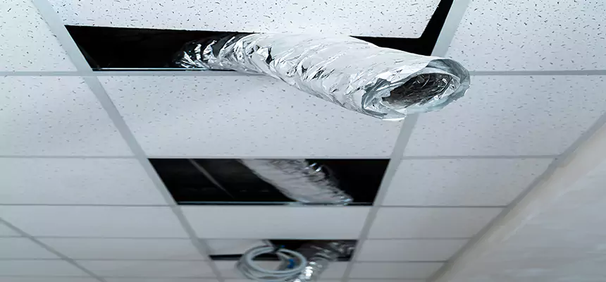 Affordable HVAC Sanitizing After Pest Removal in Visalia