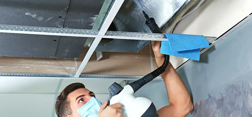Our Air Duct Rodent Removal Services in Visalia, CA