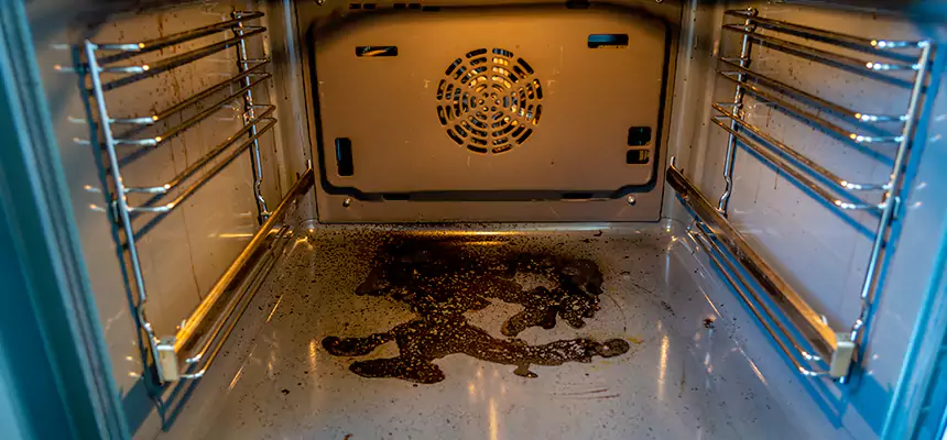 Our Dryer Vent Mold Cleaning Services in Visalia, CA