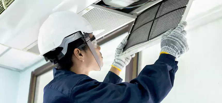 Our Mold & Mildew Removal from Air Ducts Services in Visalia, CA