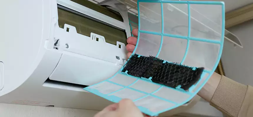 Gentle Ductwork Odor-Control Pet Dander Duct Cleaning in Visalia, CA