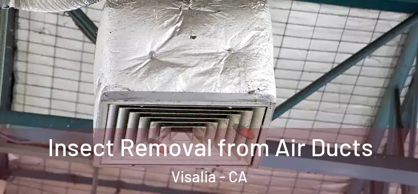 Insect Removal from Air Ducts Visalia - CA