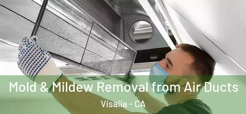  Mold & Mildew Removal from Air Ducts Visalia - CA
