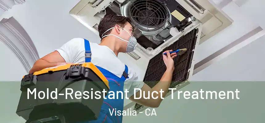 Mold-Resistant Duct Treatment Visalia - CA