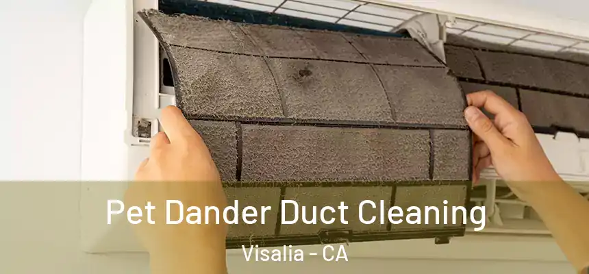 Pet Dander Duct Cleaning Visalia - CA
