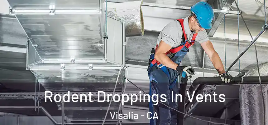  Rodent Droppings In Vents Visalia - CA