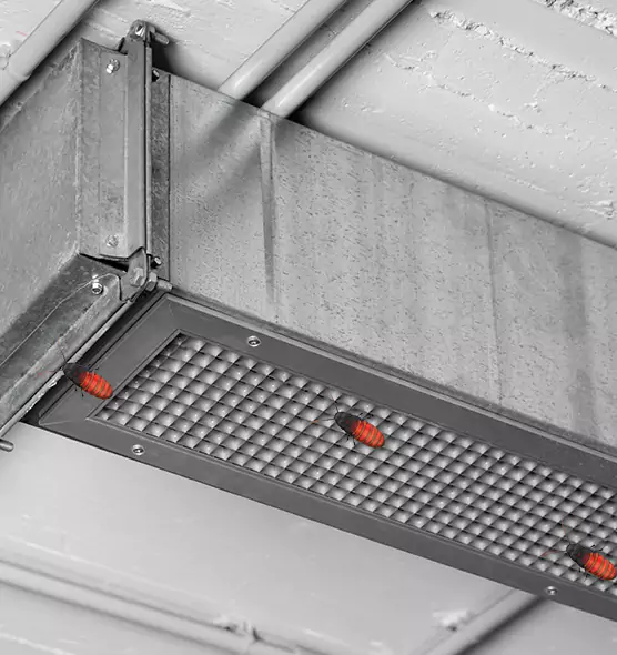 Affordable Insect Removal from Air Ducts in Visalia, CA