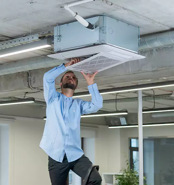 Advanced Rodent Droppings In Vents in Visalia, CA