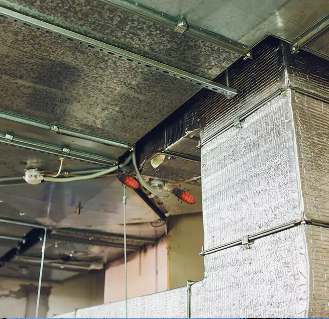 Why Homeowners & Businesses Trust Us in Visalia, CA?