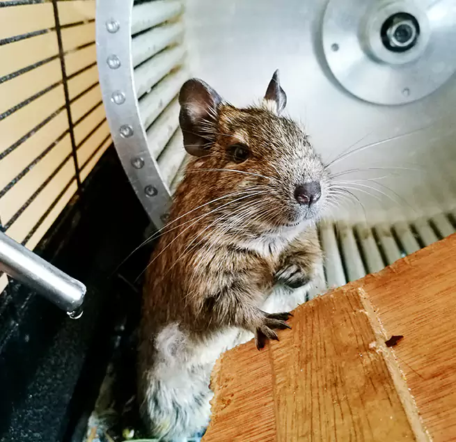 Why Homeowners & Businesses Trust Us Visalia, CA