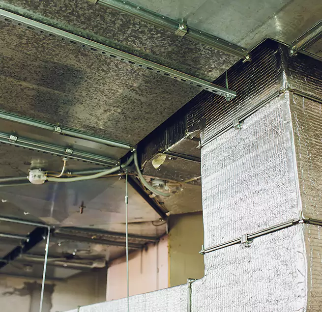 Why Homeowners & Businesses Trust Us in Visalia, CA?